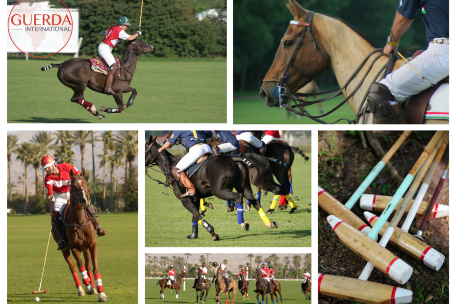 The Ultimate Time Polo Trophy
